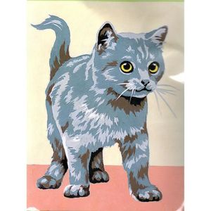 Kit Canevas Chat Cdiscount