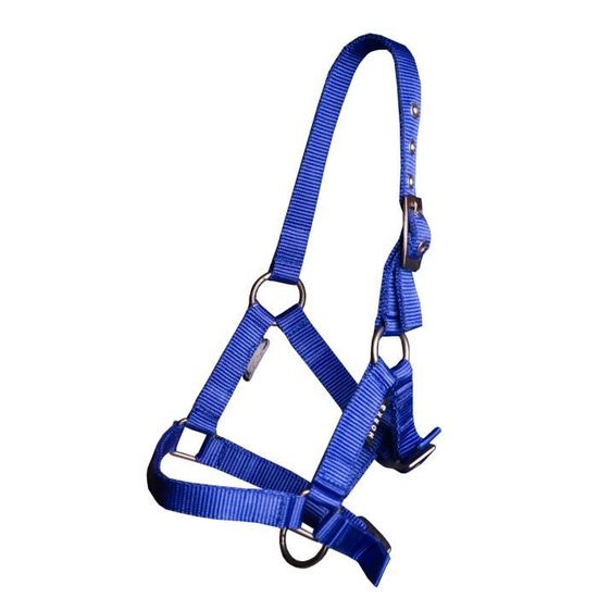Aces Equine Harnais de conduite en nylon pour charrette tirée par un cheval Noir Taille cheval/cob/poney (cob
