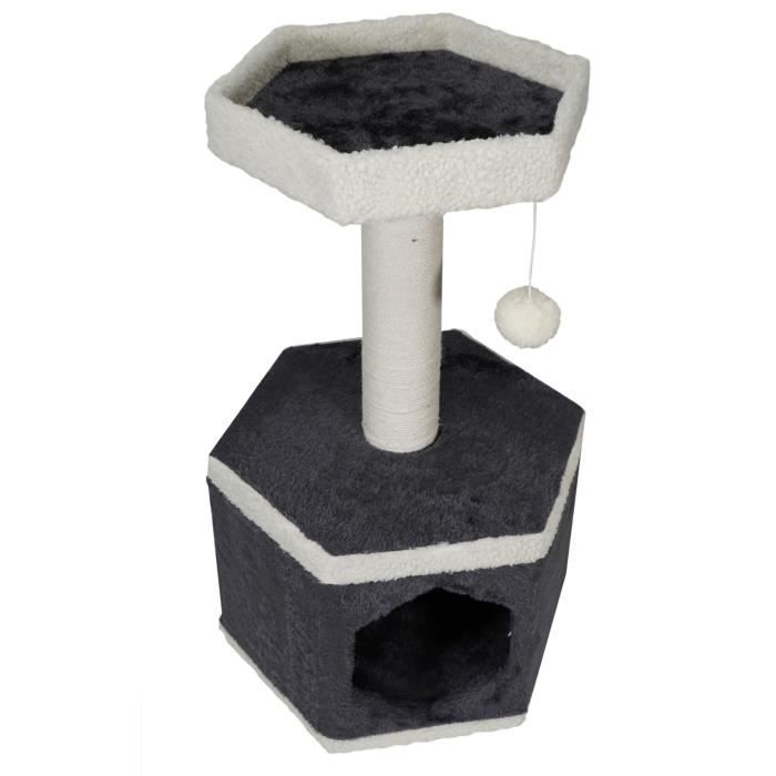 Animaux Mouton Chat Animaux Mouton Chat
