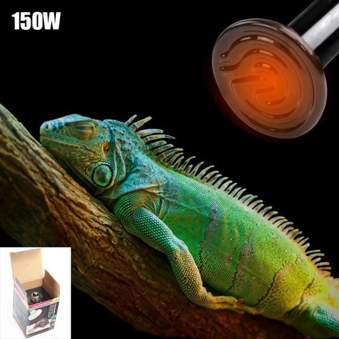 Lampe Chauffante Infrarouge Lointain 150W Ampoule en Porcelaine Pour Reptiles E27