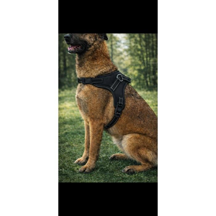 Meilleurs prix pour Harnais pour Grand Chien De Taille XL(Buste 72-91cm) Respirant et Réfléchissant – Anti-Traction Anti-Étranglement avec Poignée