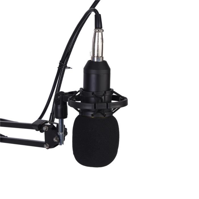 Microphone à Condensateur Professionnel Kit, BM-800 micros pour Studio  Enregistrement, avec Bras de Suspension Réglable avec Shock - Cdiscount TV  Son Photo