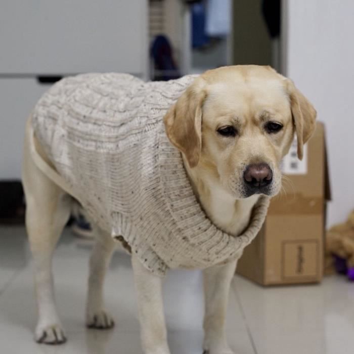 Pull Gilet Pull En Laine Pour Chiens Mpk Pull En Laine Pour Chiens De Taille Petite A Moyenne Pull En Laine Gris Clair Xxl B Cdiscount