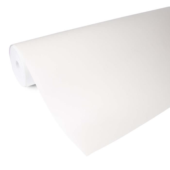 Rénovation thermique 300g Blanc - 1000x100 cm - Papier Peint à peindre