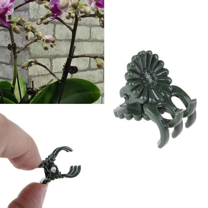Lot De 40 Clips De Fixation Murale Pour Plantes Grimpantes, Support De Plantes De Jardin, Clips De Fixation Invisibles, Clips Auto-adhésifs Pour Décoration Intérieure Et Extérieure