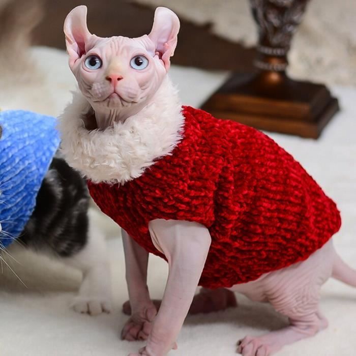 Vetement le hotsell chat