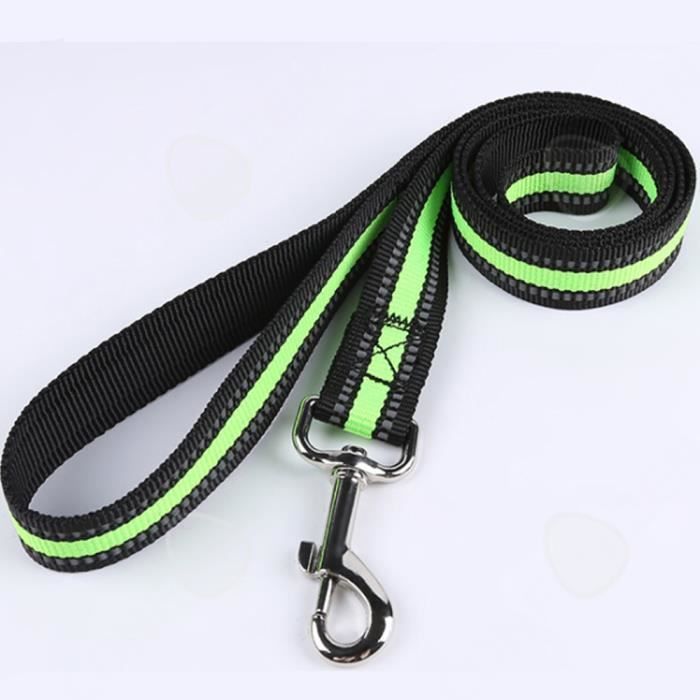 Meilleurs prix pour CONFO® Lanimal de compagnie à spécifications multiples fournit une laisse en nylon  vert une  laisse  lumineuse pour collier de ch
