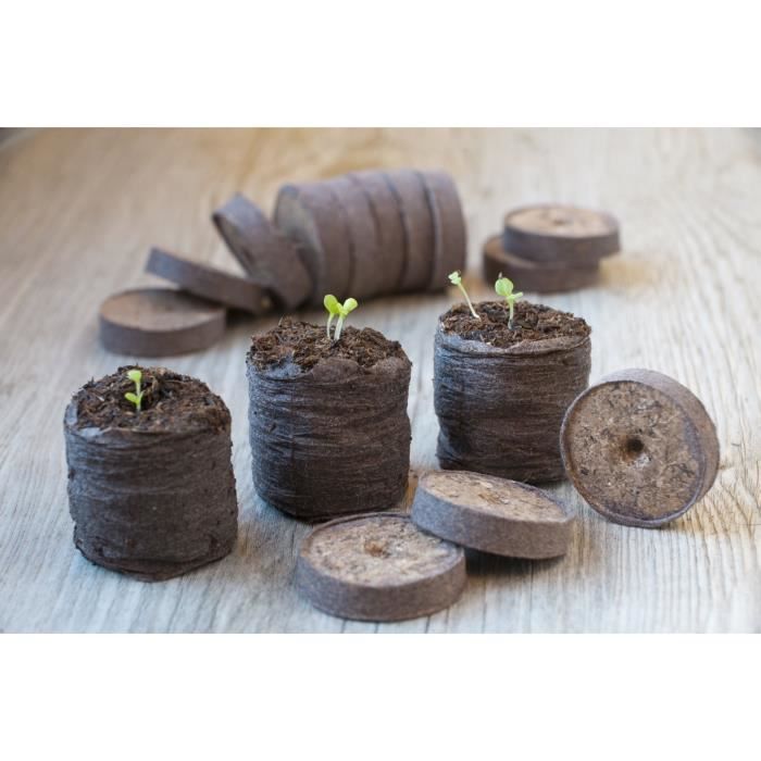 Pokon Plante compacte en fibre de coco pour balcon et jardin 10 l 