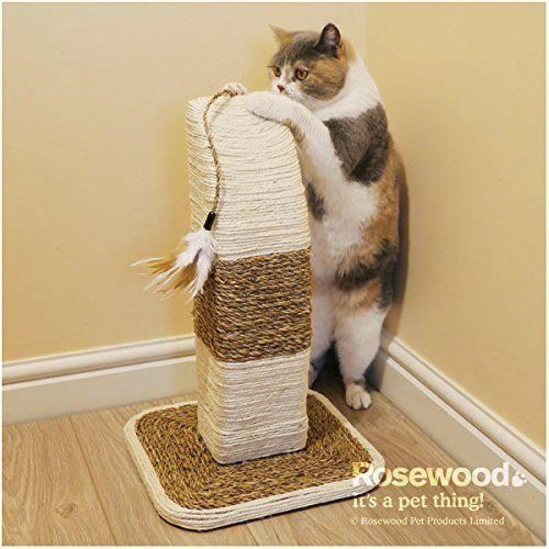 Rosewood Grattoir Rimini Pour Chat Achat Vente Griffoir Poteau Grattoir Rimini Chat Cdiscount