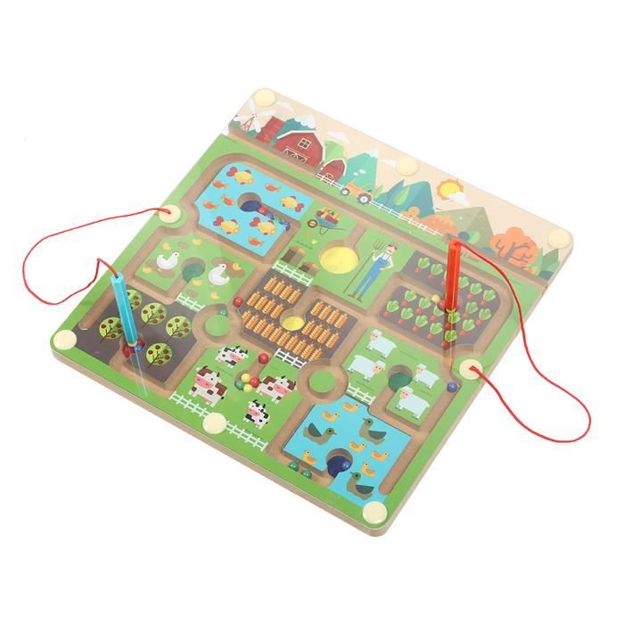 Bogoro Labyrinthe Magnétique Dinosaure - Jeu Éducatif Montessori En Bois Pour Enfants 3-6 Ans, Apprentissage Couleurs, Nombres Et Comptage Apprentissage Couleurs Nombres