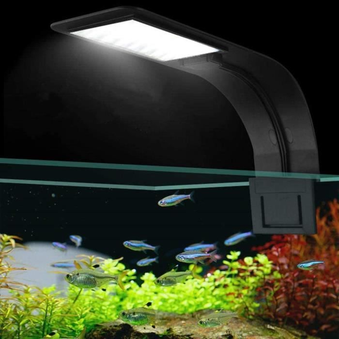 Ultra-mince LED Fish Tank Aquarium Clip Aquarium Éclairage Lampe Aquarium  LED Lumière - Temu France