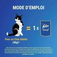 Felix Soup Sélection de Poissons 48g - Soupes en sachets pour chat adulte-2