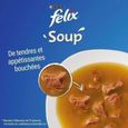 Felix Soup Sélection de Poissons 48g - Soupes en sachets pour chat adulte-3