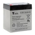 Batterie plomb AGM Y4-12 FR 12V 4Ah YUCEL - Unité(s)-0