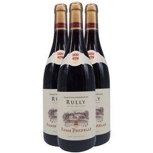 VIN ROUGE Rully - Rouge 2022 - Domaine Pierre Ponnelle - Vin