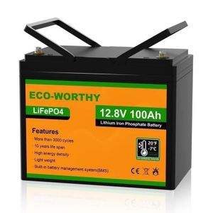 BATTERIE VÉHICULE 100Ah 12V 1.2KWh batterie lithium fer phosphate Li