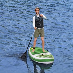 STAND UP PADDLE 6511NEU- Bestway SUP gonflable Hydro-Force Freesou