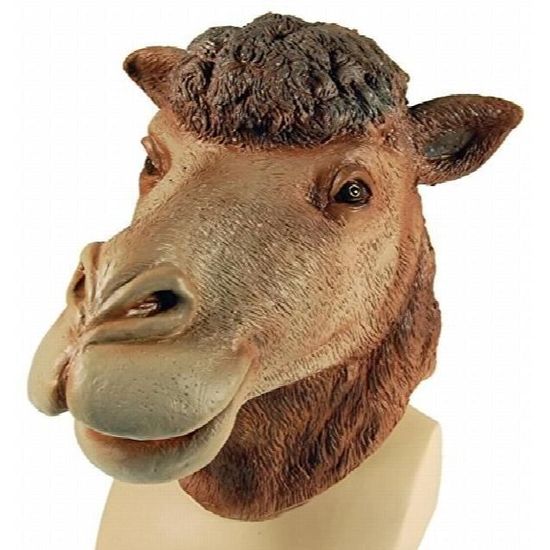Masque De Deguisement Chameau Dromadaire To03f Achat Vente Support A Decorer Masque De Deguisement Cha Cdiscount Masque De Deguisement Chameau Dromadaire To03f Achat Vente Support A Decorer Masque De Deguisement Cha Cdiscount