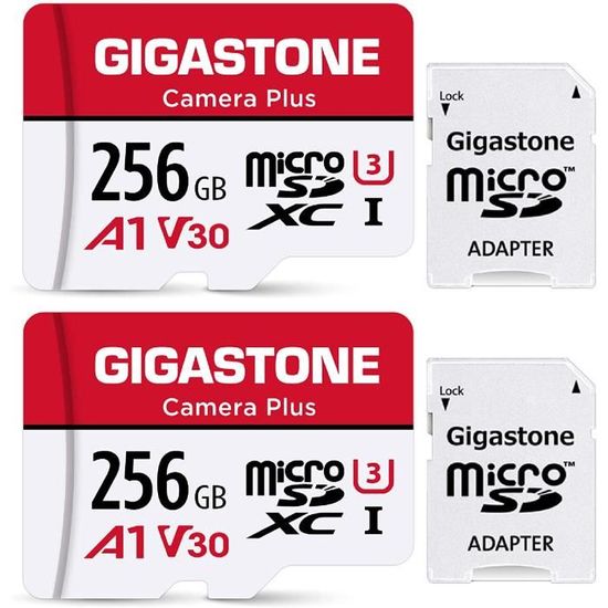 Carte Mémoire Gigastone 64Go Lot De 2 - Micro SDXC Classe A2 U3 V30 - Vitesse 95Mo/s - Compatible GoPro, Switch, Appareils 4K