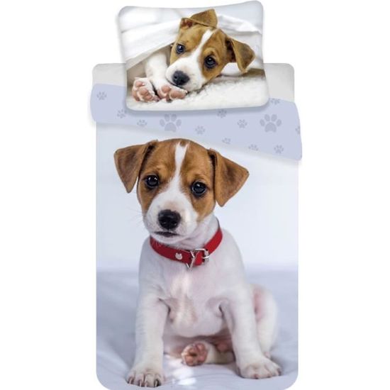 Chien Jack Russell Terrier Parure de Lit Housse de Couette Coton Cdiscount Maison