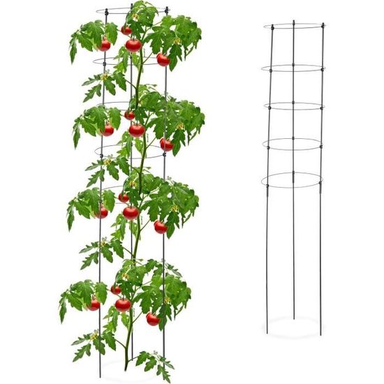 Attache Tomate Lot 6 Tuteurs Plantes Relaxdays - Support Métal/plastique 76cm Avec Anneaux Réglables Supports Tomates Pois Haricots Balcon