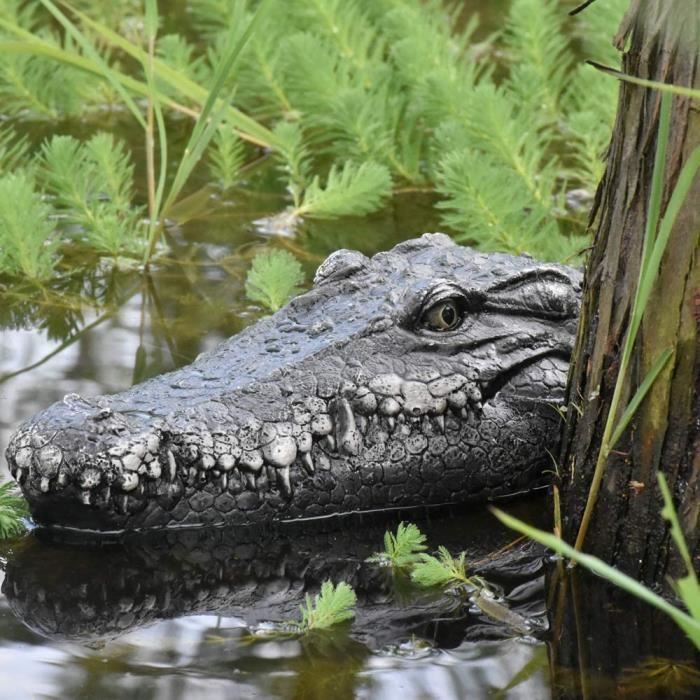Sonhomay Tête D'Alligator Flottante - Fausse Tête Crocodile Pour Piscine Étang - Décoration Et Protection Jardin