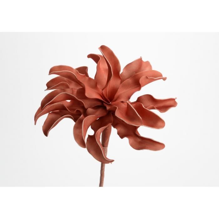 Fleur Cumbia 54 cm terracotta - Amadeus 10 Vert