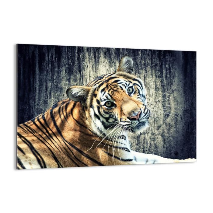 Impression Sur Verre ARTTOR 100x70 Cm - Plumes De Paon - Décoration Murale
