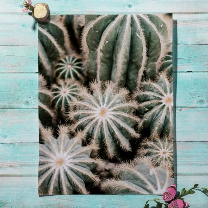 Lot De 3 Affiches Abstraites Sur Toile – Motif Plantes Vert Sauge – Format 60x80 Cm – Pour Salon, Chambre, Cuisine – Sans Cadre