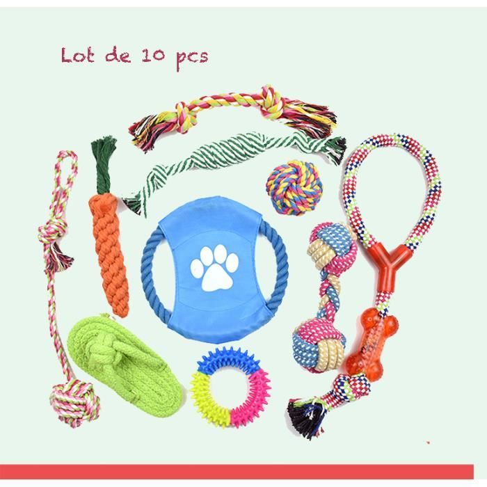 Lot de 10 Pièces Jouets pour Chien Corde de Jeu