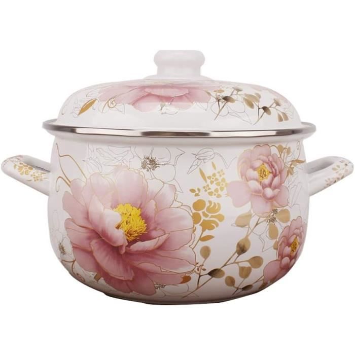 Cocotte En Fonte émaillée Antiadhésive Avec Couvercle Et 2 Poignées