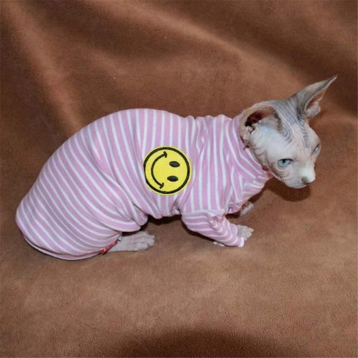 Zhihan Sphynx Chat Vetements Pull Raye Chat Chauve Printemps Et Manteau D Automne Rose M Cdiscount Animalerie