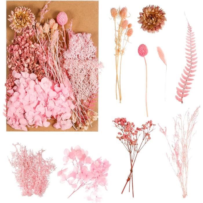 Fleurs Séchées Naturelles Pour DIY - Mélange De Fleurs Pressées Pour Résine, Bijoux, Scrapbooking Et Plus !
