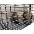 Cage piège pour rats gris et noirs - Marque - Modèle - Capture efficace - Pour bâtiments-1