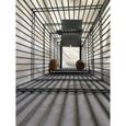 Cage piège pour rats gris et noirs - Marque - Modèle - Capture efficace - Pour bâtiments-2