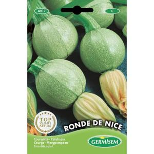 GRAINE - SEMENCE Germisem graines Courgette RONDE DE NICE - 3g.[D12