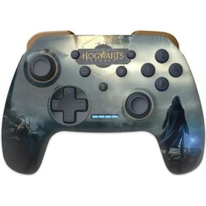 Manette ps4 harry potter - Cdiscount