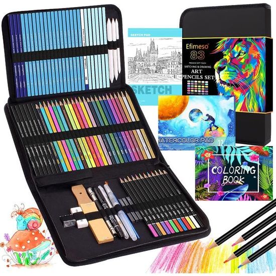 Arrtx Kit de crayons de couleur pour adultes 126 couleurs avec carnet de  croquis, crayons de couleur professionnels à noyau souple pour artistes  coloristes, fournitures de dessin d'art de qualité supérieure avec