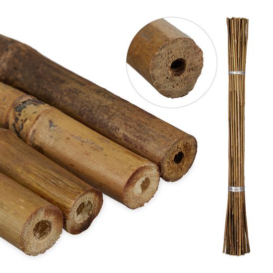 Hysagtek 50 Pièces Tuteurs Pour Plantes 40 Cm Tuteur Bambou Vert Tuteur