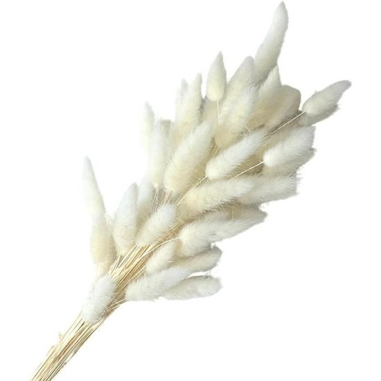 Fleurs Séchées Queues De Lapin – Lot 60 Pièces Orange – Longueur 43 Cm – Décoration Automne, Boho, Mariage