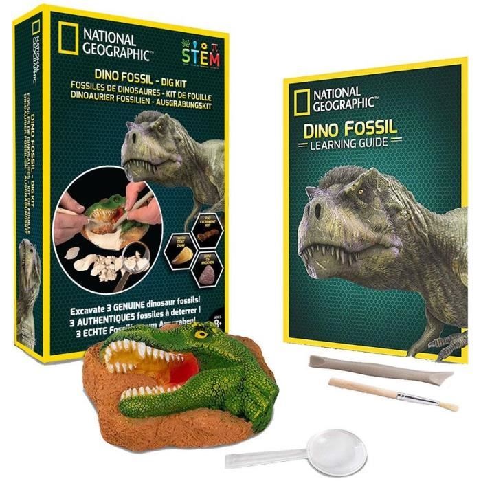 NATIONAL GEOGRAPHIC - Kit de fouille - 3 fossiles de dinosaures à extraire