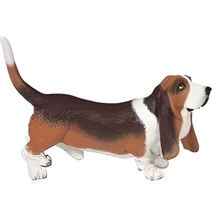 Chien Basset Hound