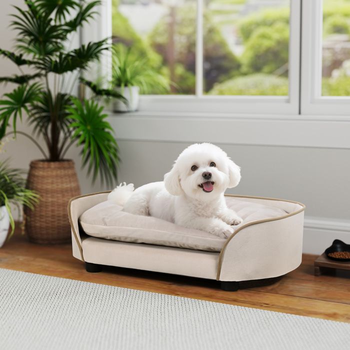 Meilleurs prix pour Canapé pour chien canapé pour animal de compagnie avec coussin amovible et housse lavable 66 x 43 x 195 cm beige