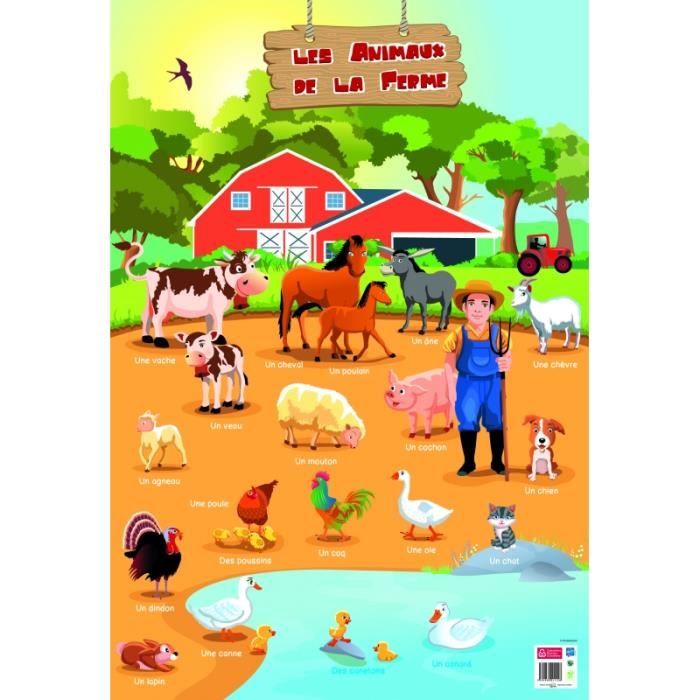  Poster  p dagogique Animaux  de  la ferme  52 x 76 cm 52 