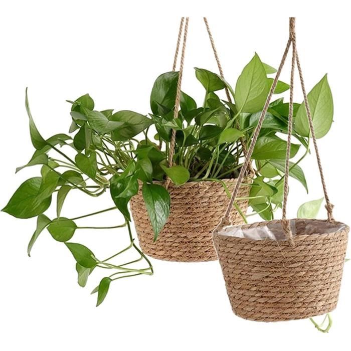 WRENYZK Lot 2 Pots Fleurs Souriants Suspendus – Résine Mignonne Balançoire, Kit Culture + Pulvérisateur, Idéal Plantes Grasses Décoration Intérieur Extérieur