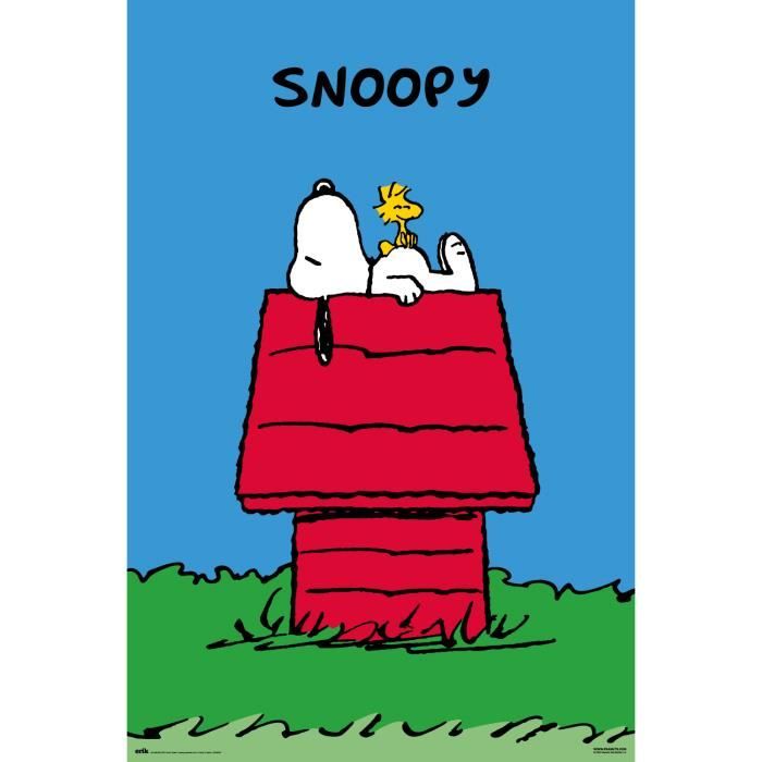 Affiche Snoopy Doghouse Cdiscount Maison