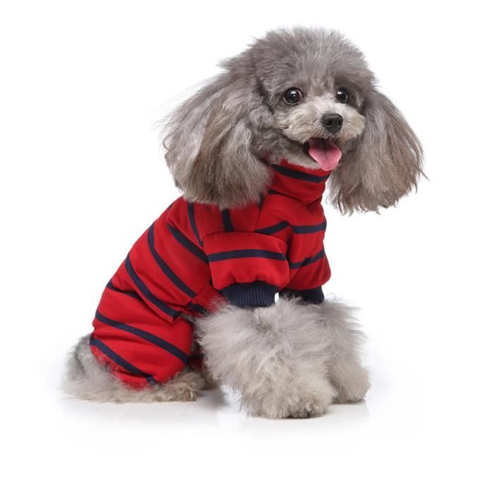 Chien sales en pyjama