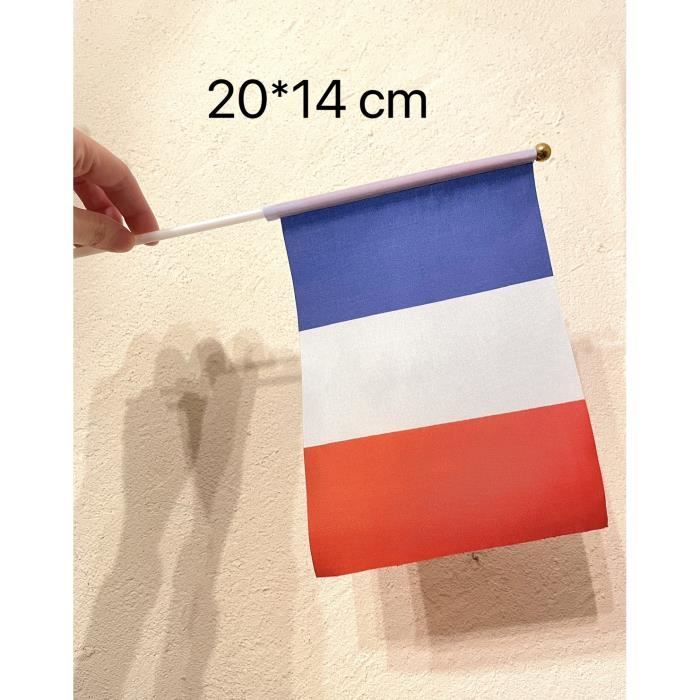 https://www.cdiscount.com/pdt2/1/2/8/2/700x700/auc6781290783128/rw/petit-drapeau-francais-drapeau-france-20-14-cm.jpg