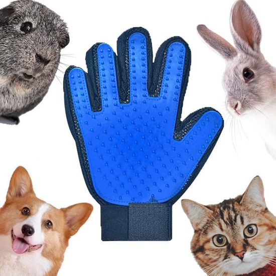Gants De Toilettage Pour Chat Et Chien - élimine Les Poils Morts, Massage Doux, Lavable, Taille Unique