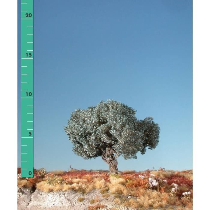 Arbre olivier Mininatur 245-12 1 pc(s)